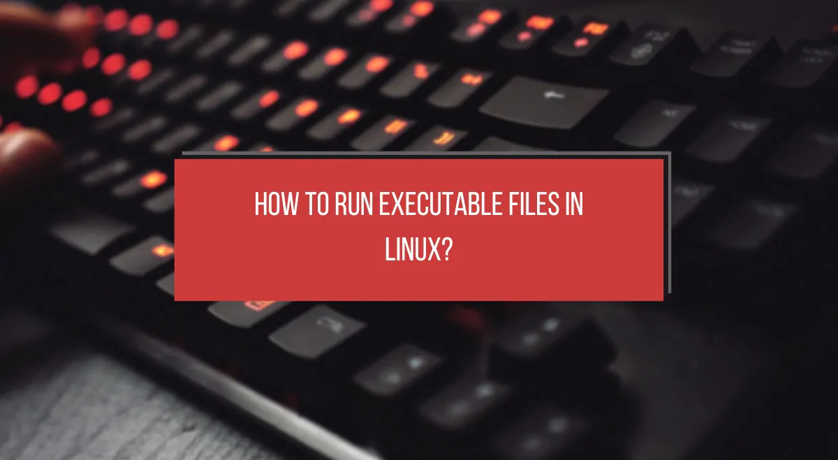 How to Run Executable Files in Linux? How to Run Executable Files in Linux?